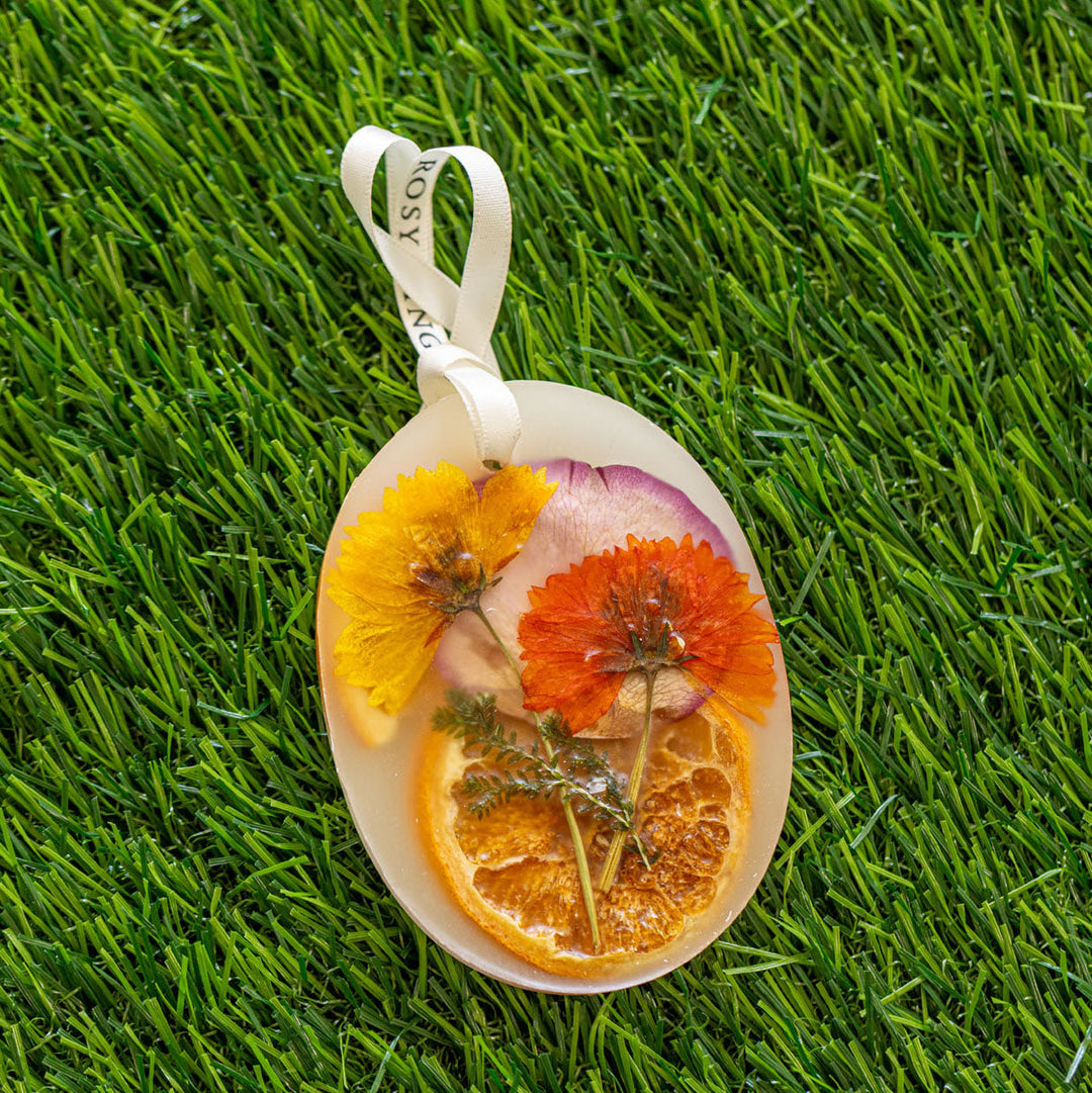 Agrumes sucrés - Petit sachet botanique 